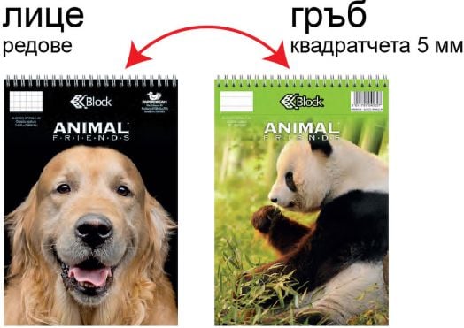 Двустранен блокнот Riplast А5, 70 листа с широки редове и квадратчета