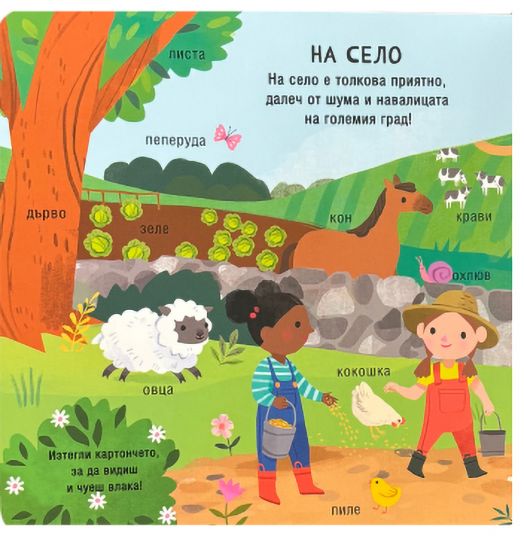 Музикална книжка: Чудни звуци