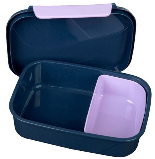 Пластмасова кутия за храна Frozen