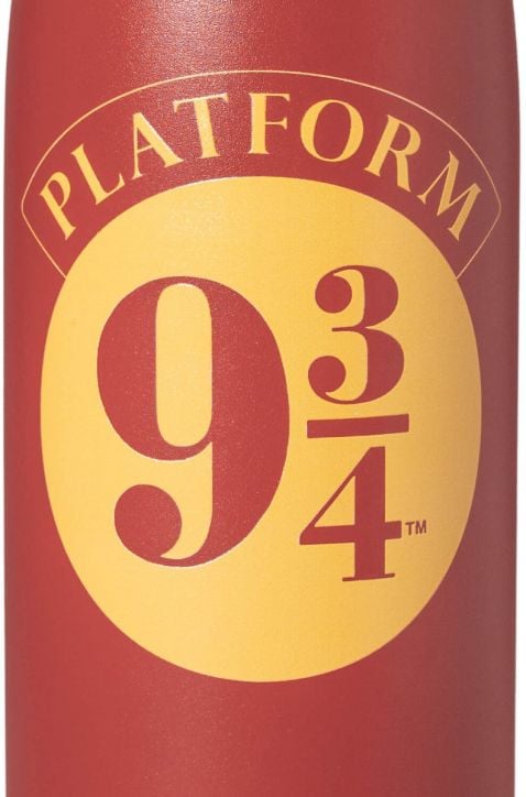 Метална бутилка Grupo Erik Harry Potter Platform 9 3/4, 500 мл.