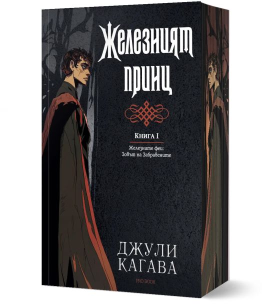 Железните Феи, книга 5: Железният принц