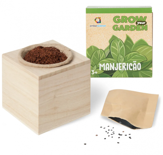 Отгледай вкъщи градинка Ambarscience - Босилек