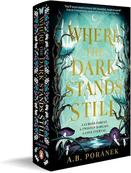 Where the Dark Stands Still