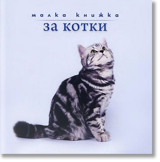 Малка книжка за котки