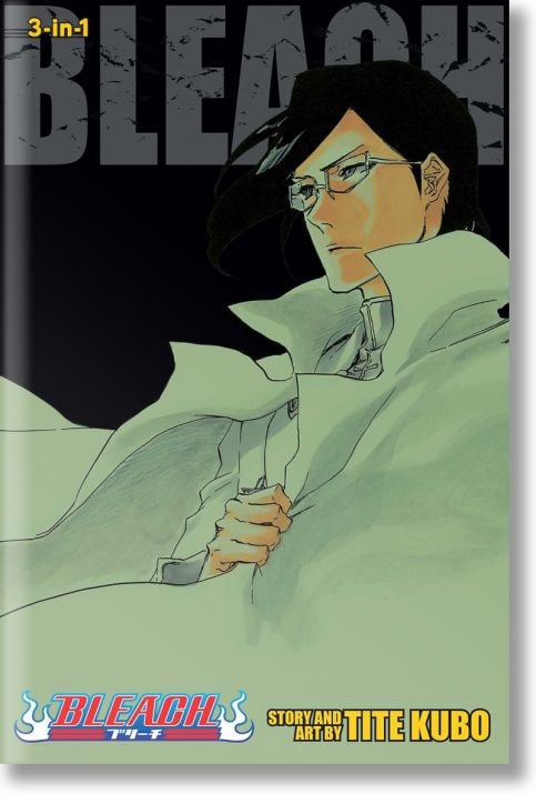 Bleach (3-in-1 Edition), Vol. 24