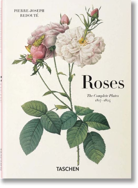Redouté. Roses