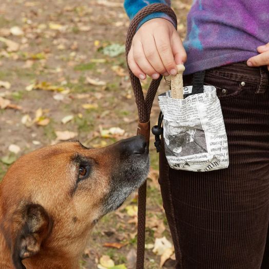 Плик за съхранение на кучешки лакомства Kikkerland