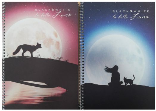 Тетрадка Black & White B5 със спирала и 2 теми, 80 листа - широки редове