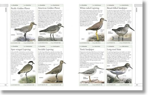 Complete Birds of Britain and Europe