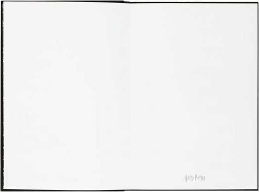 Тефтер със светлина Grupo Erik - Harry Potter Lumos Maxima