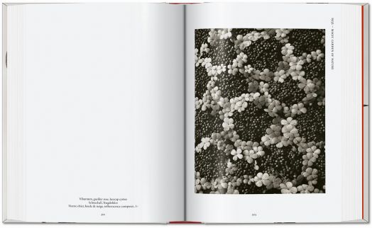 Karl Bloosfeldt: The Complete Publushed Work, 40th Edition