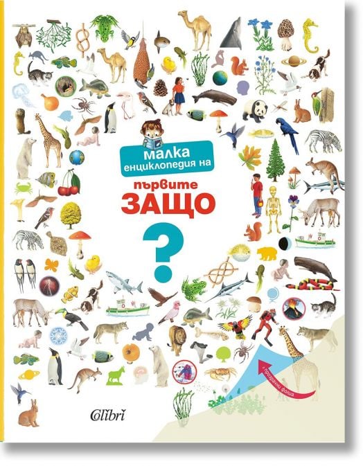 Малка енциклопедия на първите ЗАЩО