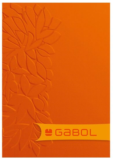 Тетрадка Gabol А4, 60 листа - широки редове, за момиче