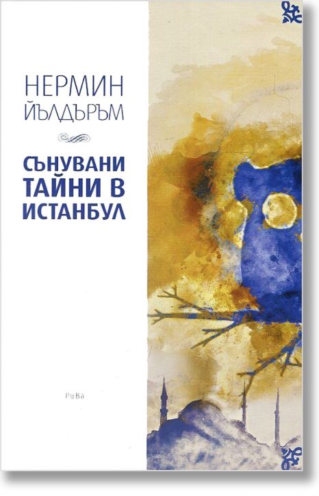 Сънувани тайни в Истанбул