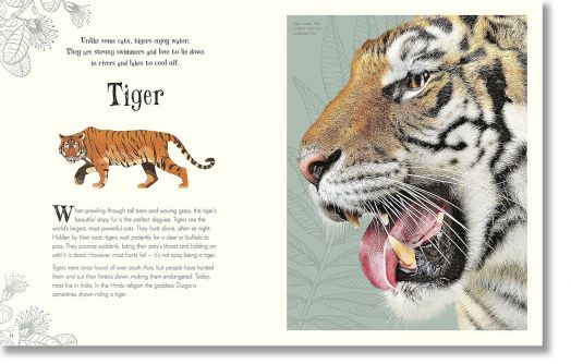 An Anthology of Intriguing Animals