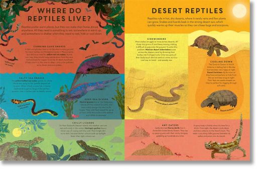 There are Reptiles Everywhere