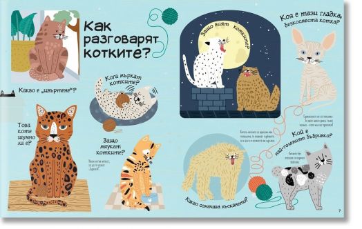 Обичам котките