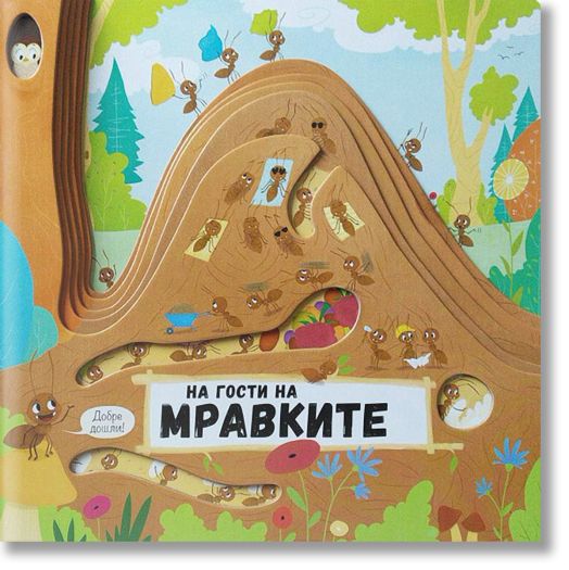 На гости на мравките