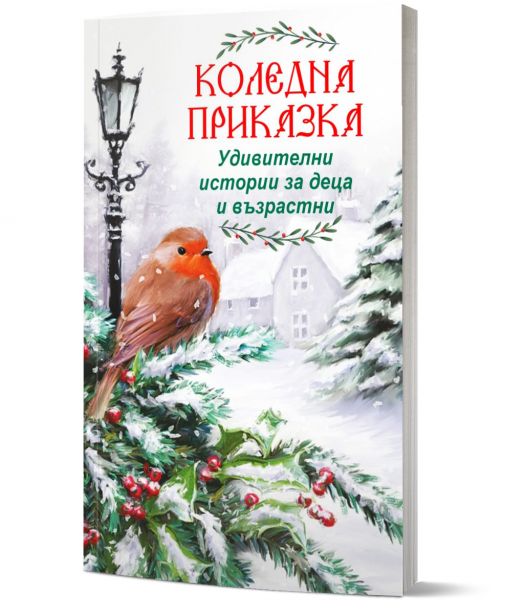 Коледна приказка - Удивителни истории за деца и възрастни