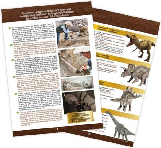 Изследователски комплект Buki - Череп на динозавър Тиранозавър Рекс