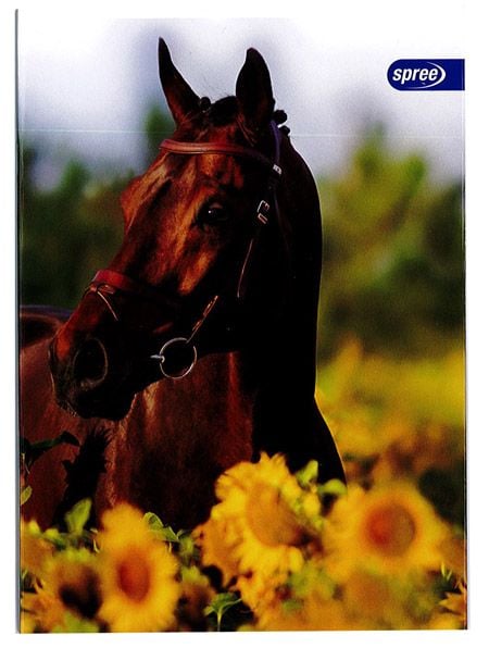 Тетрадка Spree Basic А5, 40 бели листа - нелинирани