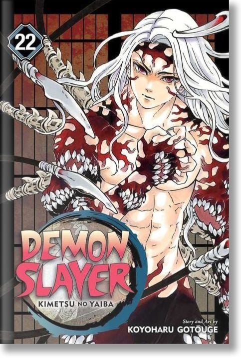 Demon Slayer Kimetsu no Yaiba, Vol. 22
