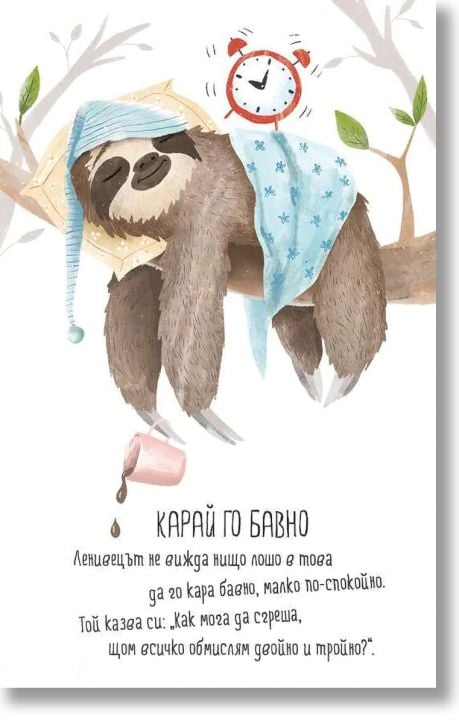 Малки диви мъдрости. Мотивационни карти