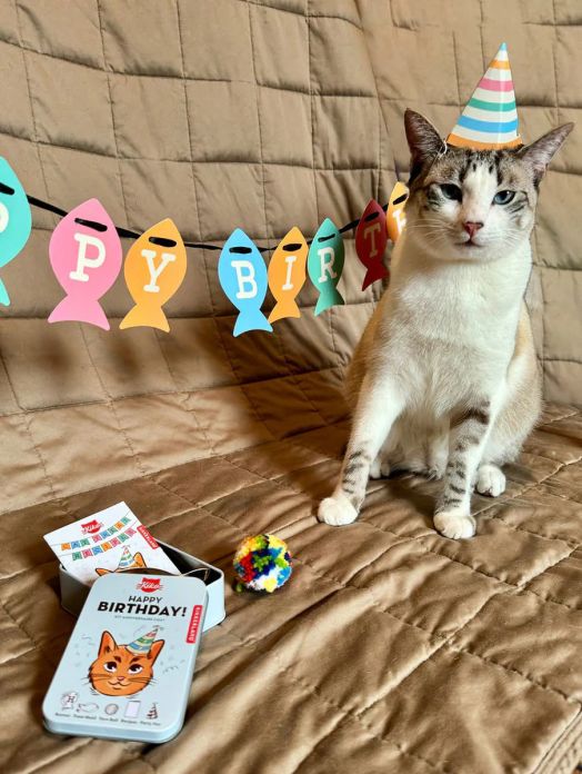 Комплект Kikkerland - Честит Рожден Ден на домашния любимец, за коте