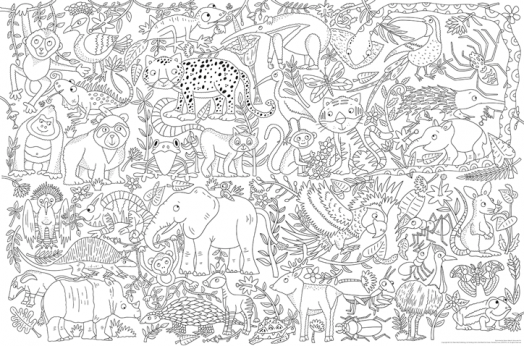 World's Biggest Colour-in: Rainforest