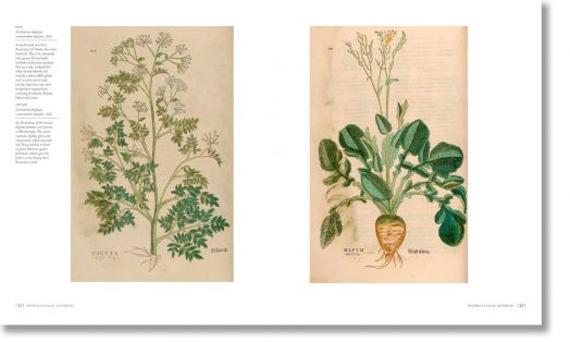 The Botanists' Library