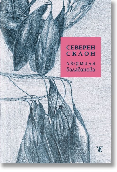 Северен склон