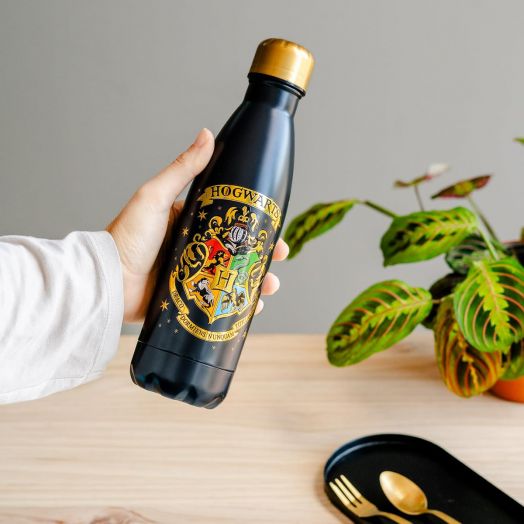 Метална бутилка  Grupo Erik Harry Potter Hogwarts Crest, 500 мл.