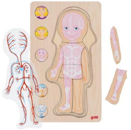 Дървен пъзел Goki - Скрита антомия, момиче