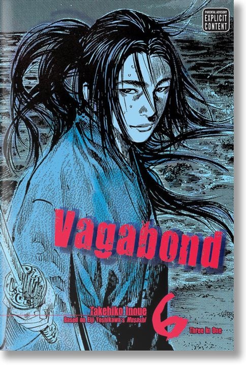 Vagabond, Vol. 6
