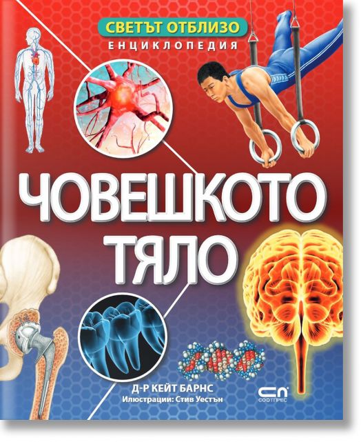 Светът отблизо: Човешкото тяло