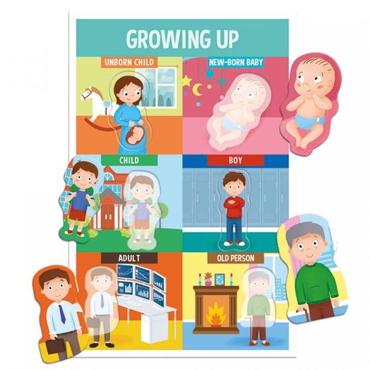 Образователна игра Headu Montessori - Как сме направени