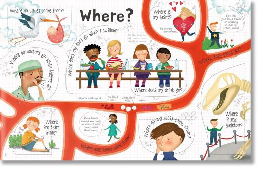 Lift-the-Flap: Questions and Answers About Your Body