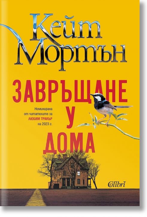 Завръщане у дома