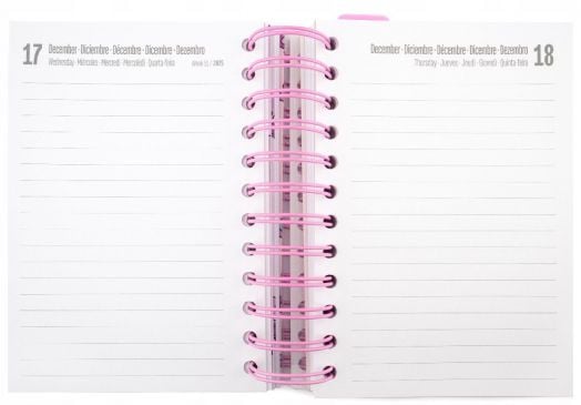 Дневен планер Grupo Erik Pusheen за 11 месеца - август 2025 / юни 2026 година