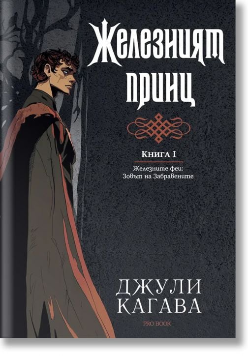 Железните Феи, книга 5: Железният принц