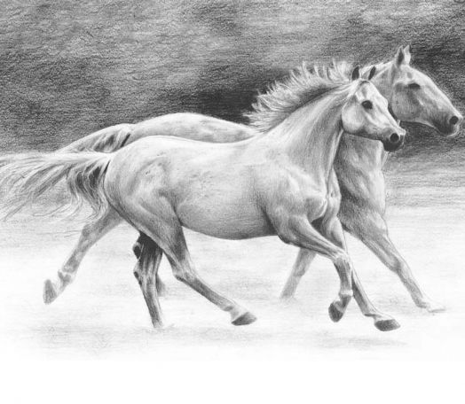 Комплект за лесно рисуване с моливи Royal & Langnickel - Тичащи коне, графика с размер 23 х 30 см.