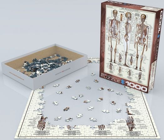 Пъзел Eurographics - Костна система, 1000 части