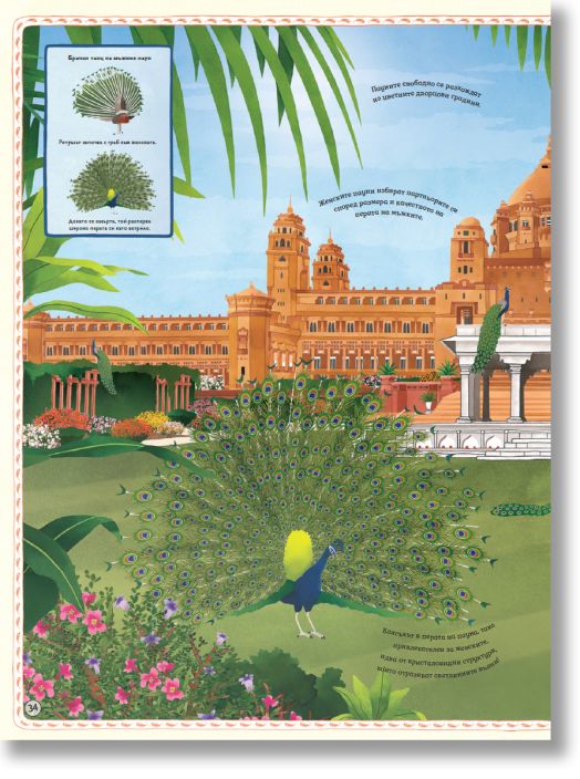 Атлас: Животни от цял свят