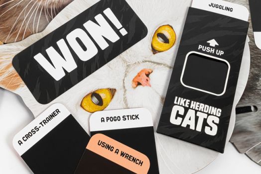 Игра Professor Puzzle: Like Herding Cats