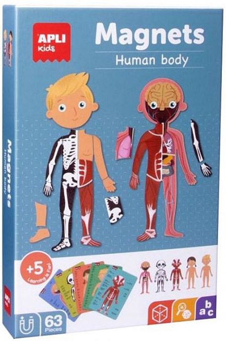 Детска магнитна игра Apli Kids - Човешкото тяло