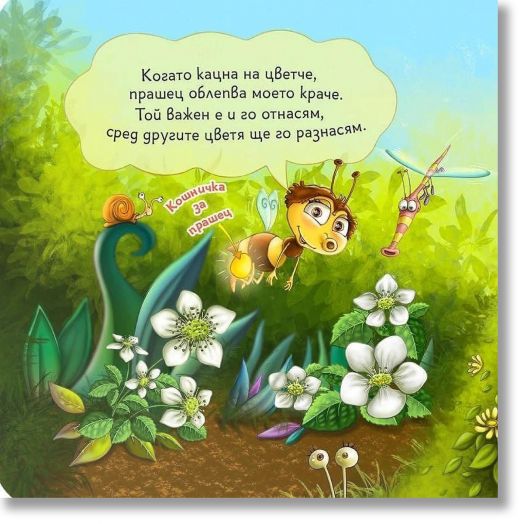 Как пчелата опрашва цветята?