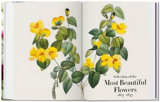 Redoute: The Book of Flowers, 40th Edition