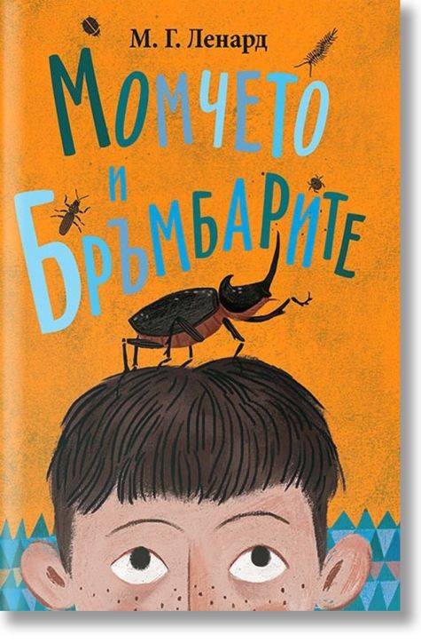 Момчето и бръмбарите