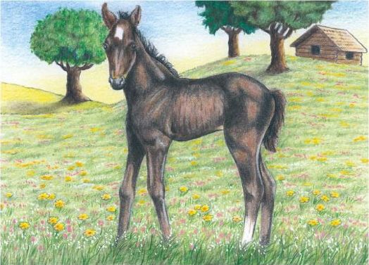 Дървени кубчета Goki - Животни от фермата