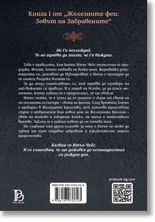 Железните Феи, книга 5: Железният принц